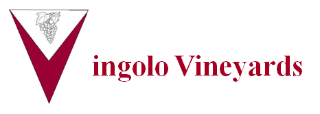 Vingolo Vineyards Logo